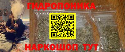 молекула духа Берёзовский