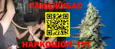 молекула духа Берёзовский