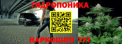 сатива Беслан