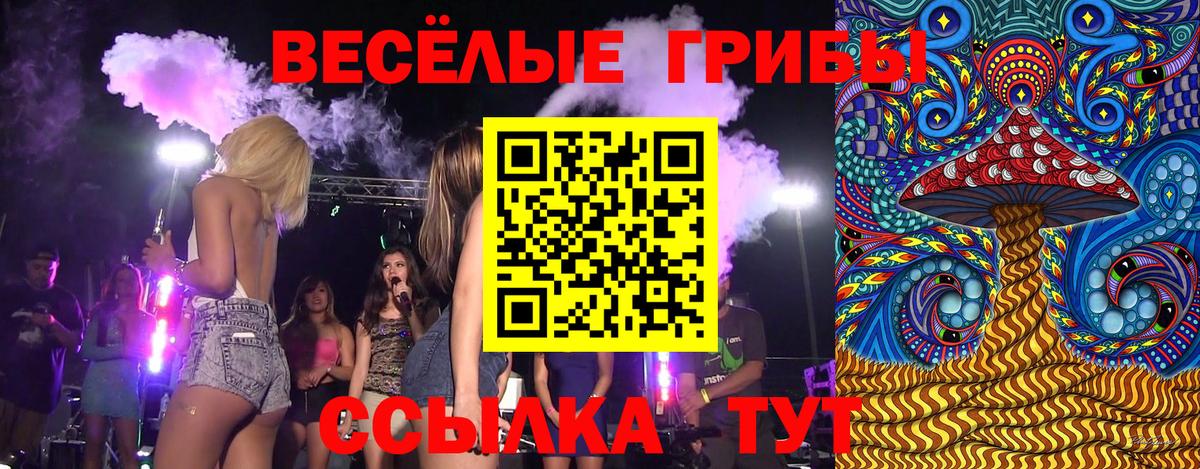 Галлюциногенные грибы Cubensis  Галлюциногенные грибы прущие грибы  Вход с VPN  Кизляр 